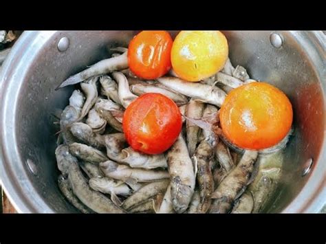 TALIMUSAK CATCH AND COOK .